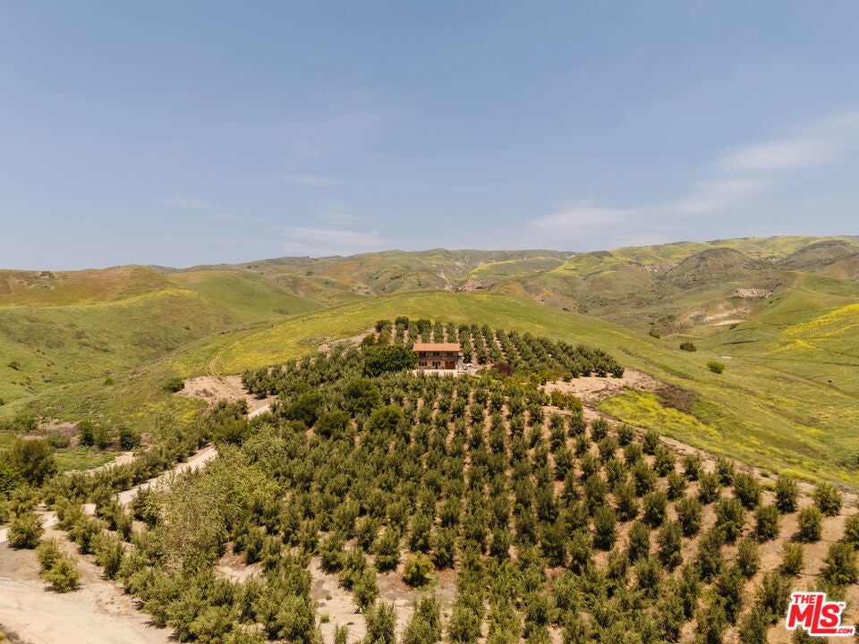 Photo of Listing #25583065