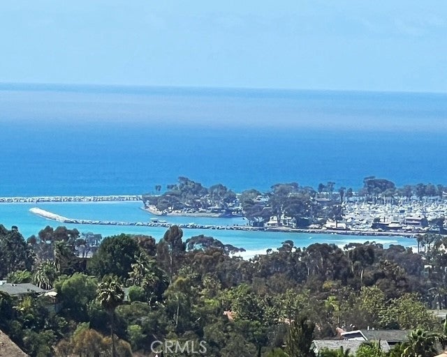 33801 Glocamora Lane, San Juan Capistrano