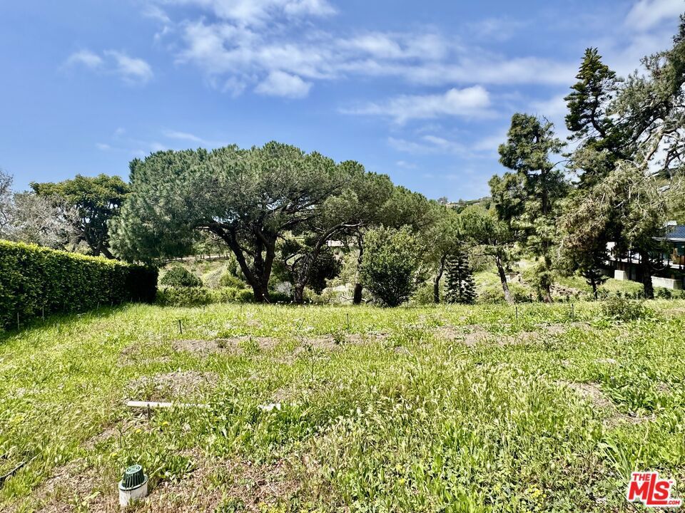 Photo of Listing #25589283