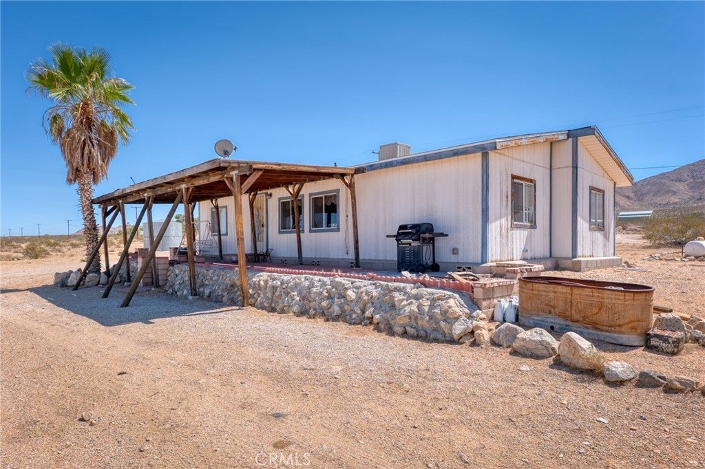 48232 Quailbush, Johnson Valley