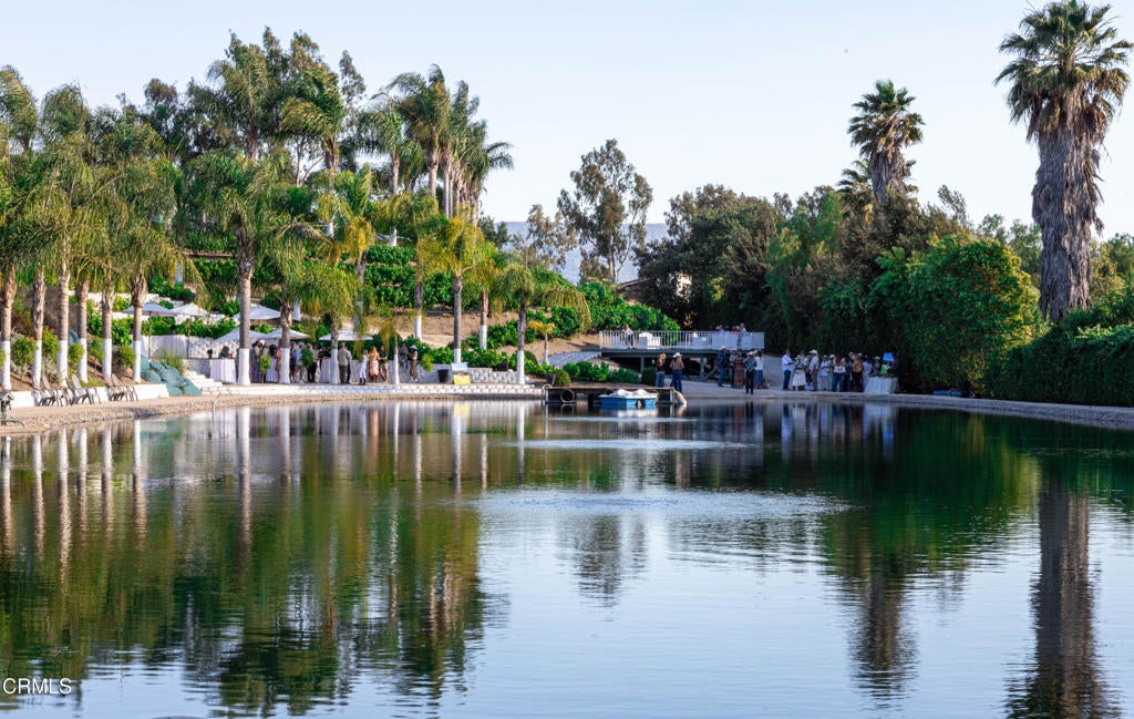 Photo of Listing #V1-32335