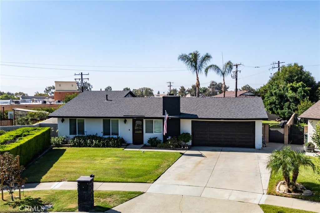 880 Pine, Upland