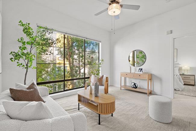 Photo of Listing #ML82021961