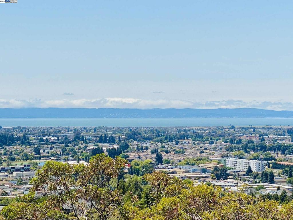 Photo of Listing #41112092