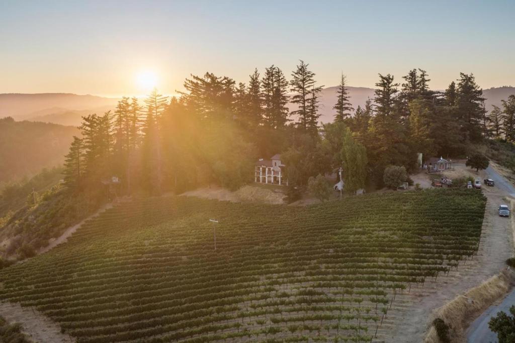 Photo of Listing #ML82021650