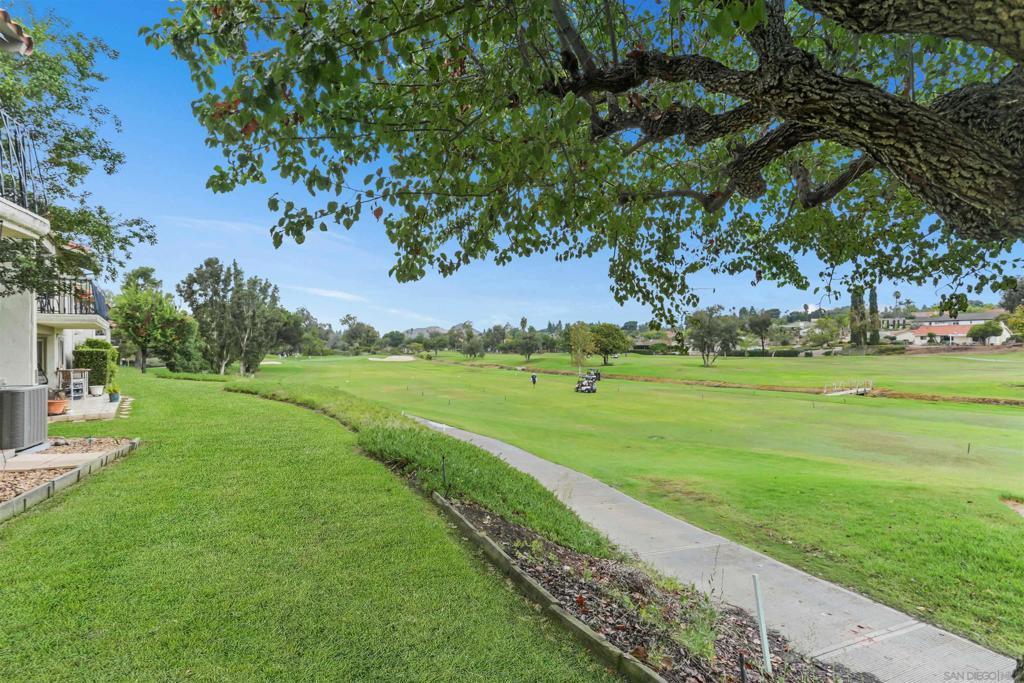 Photo of Listing #250039620SD