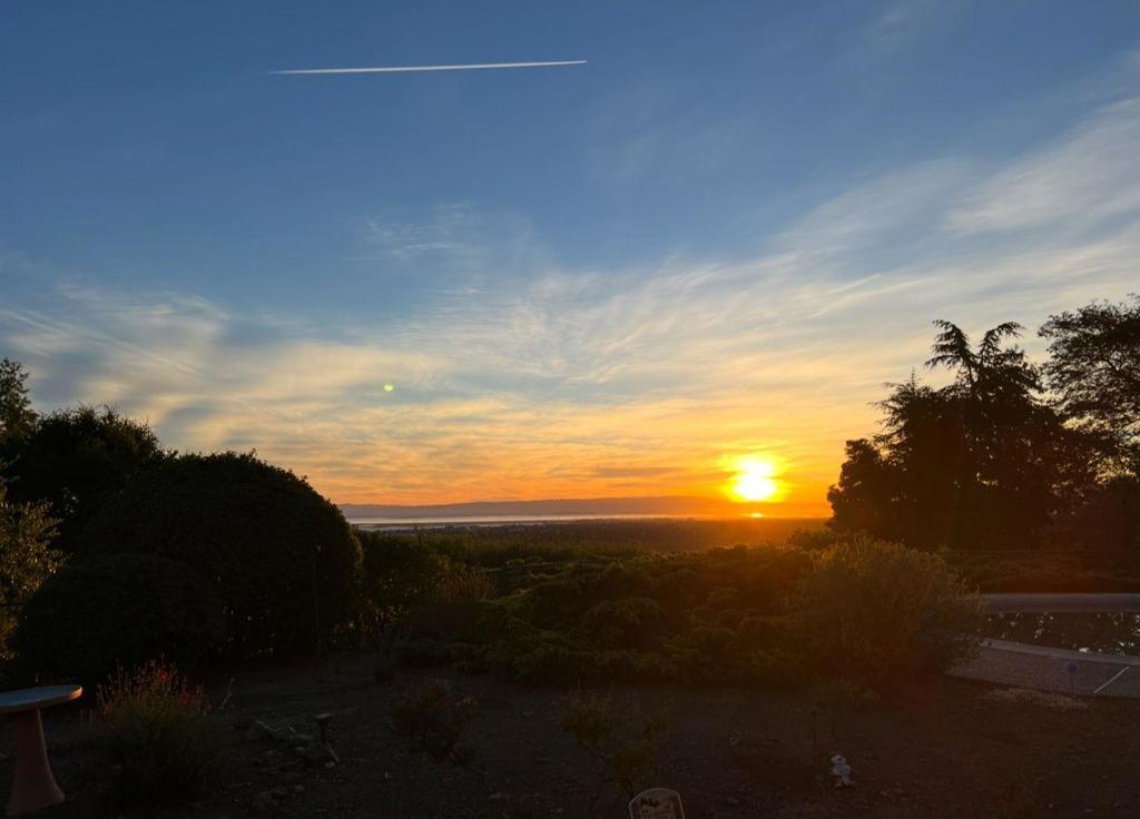 Photo of Listing #ML82023027