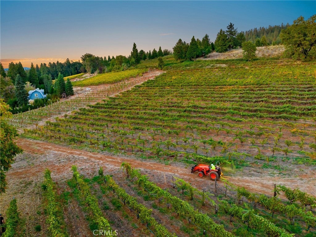 Photo of Listing #OC25228536