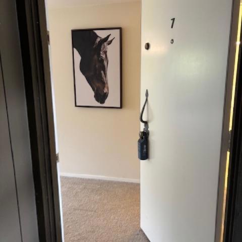 Photo of Listing #ML82023410