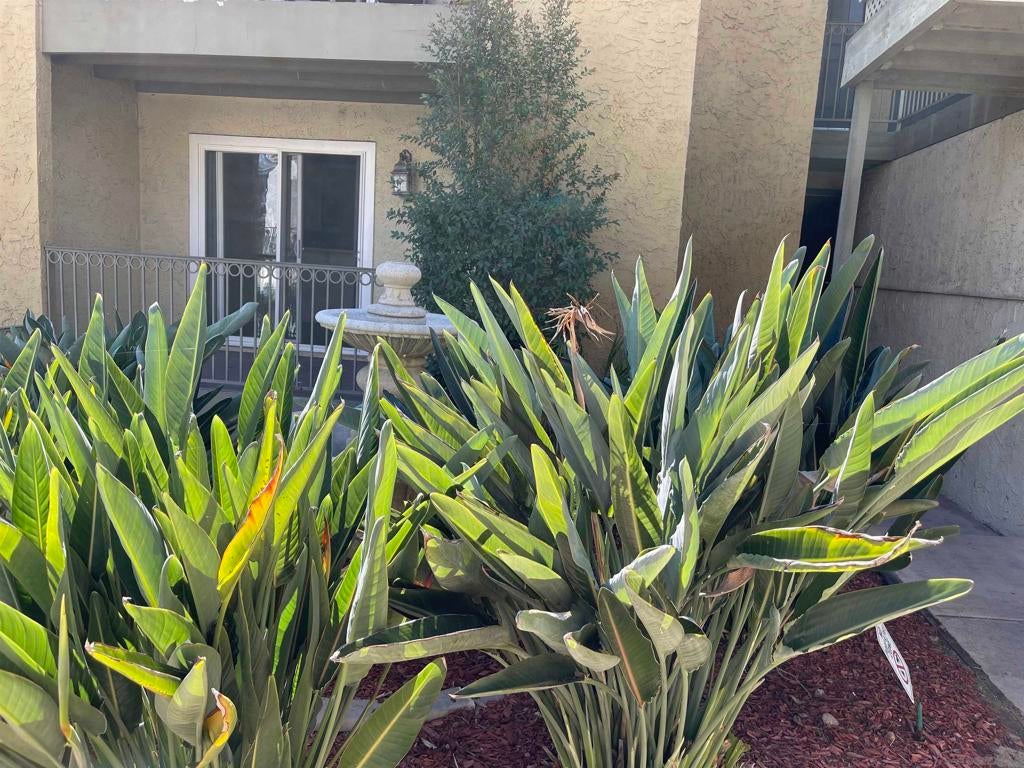 Photo of Listing #250040696SD