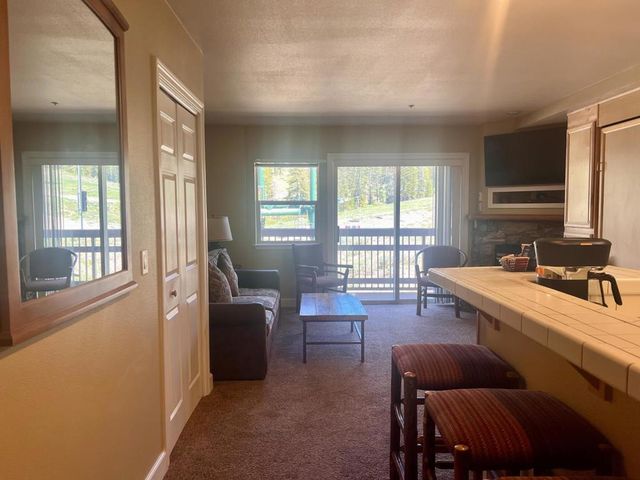 1399 Kirkwood Mdws Drive # 213-215, Markleeville