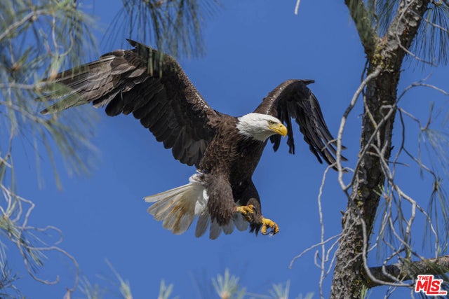 Listing photo for 41924 Patrick Avenue, Coarsegold, CA