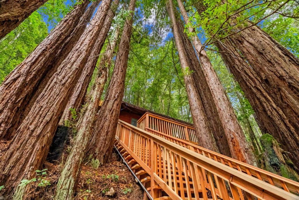 Photo of Listing #ML82024334