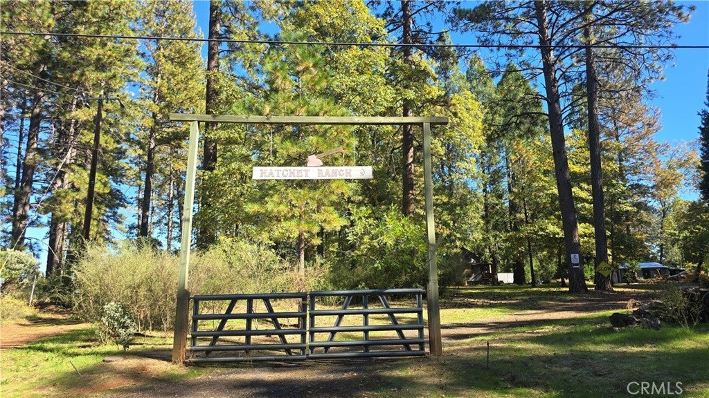 13644 Nimshew, Magalia