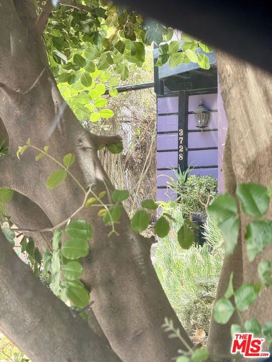 Photo of Listing #25610933