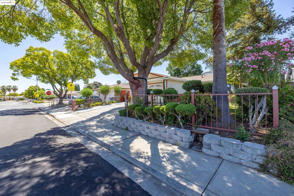 Photo of Listing #41116487