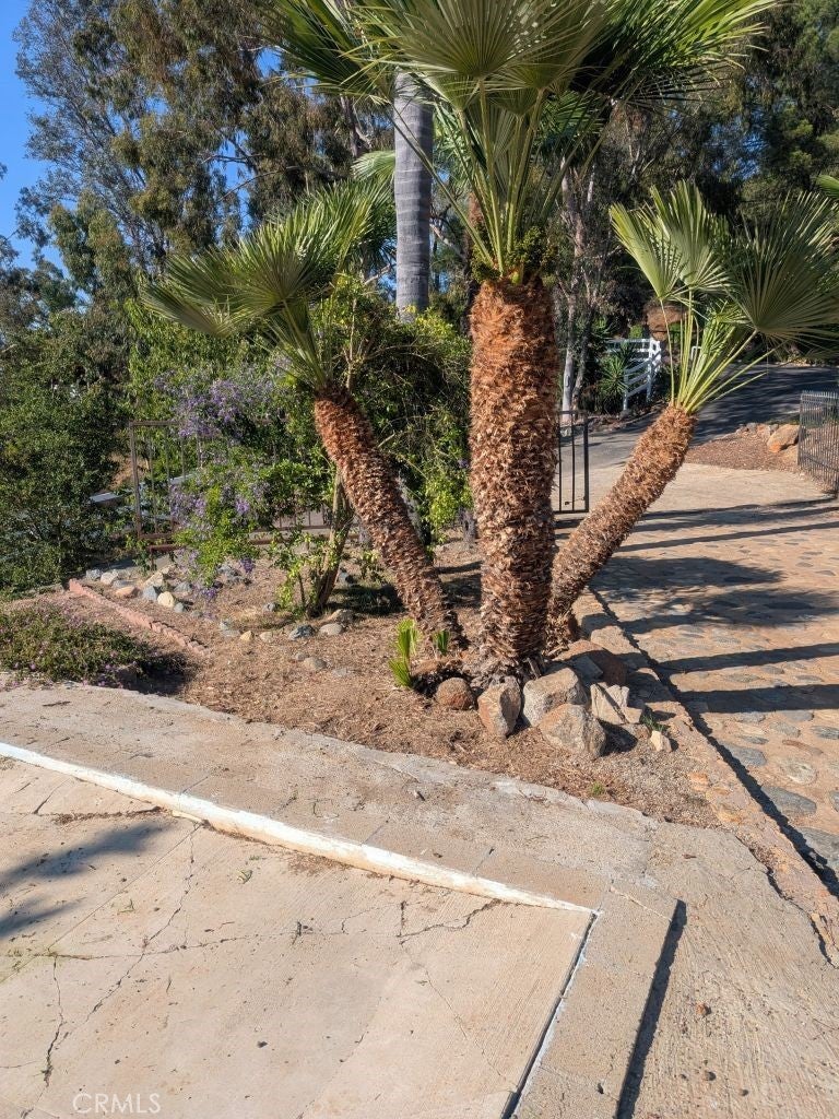 Photo of Listing #IV25252255