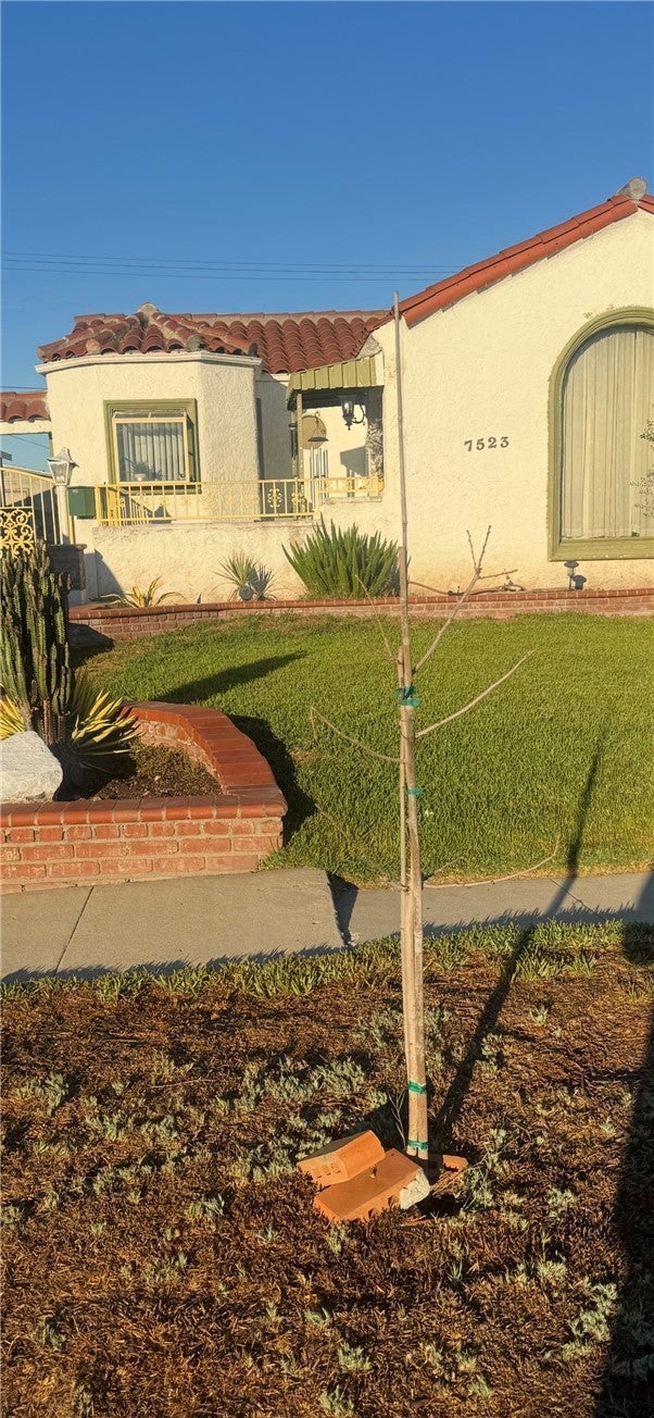 Photo of Listing #SR25254810