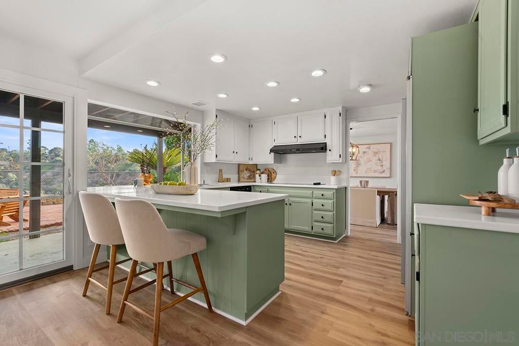 Photo of Listing #250043666SD