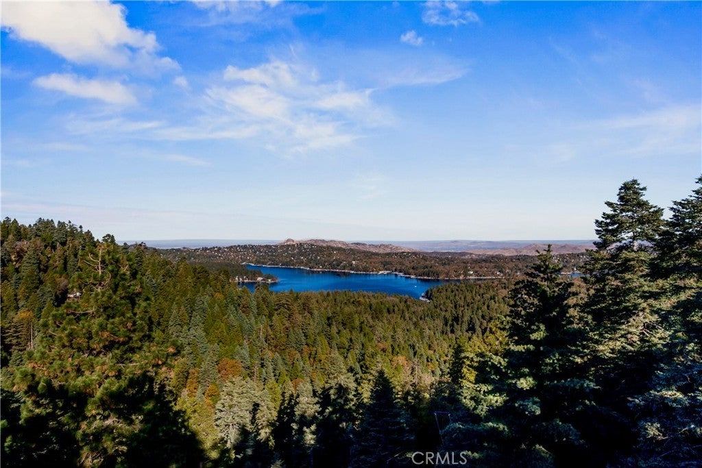 Photo of Listing #IG25256720