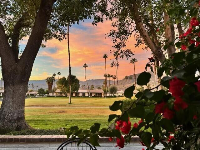 Photo of Listing #219138467DA