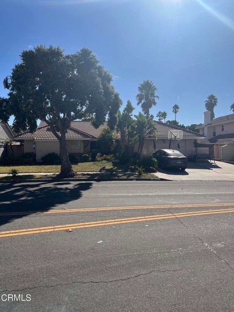 Photo of Listing #V1-33337