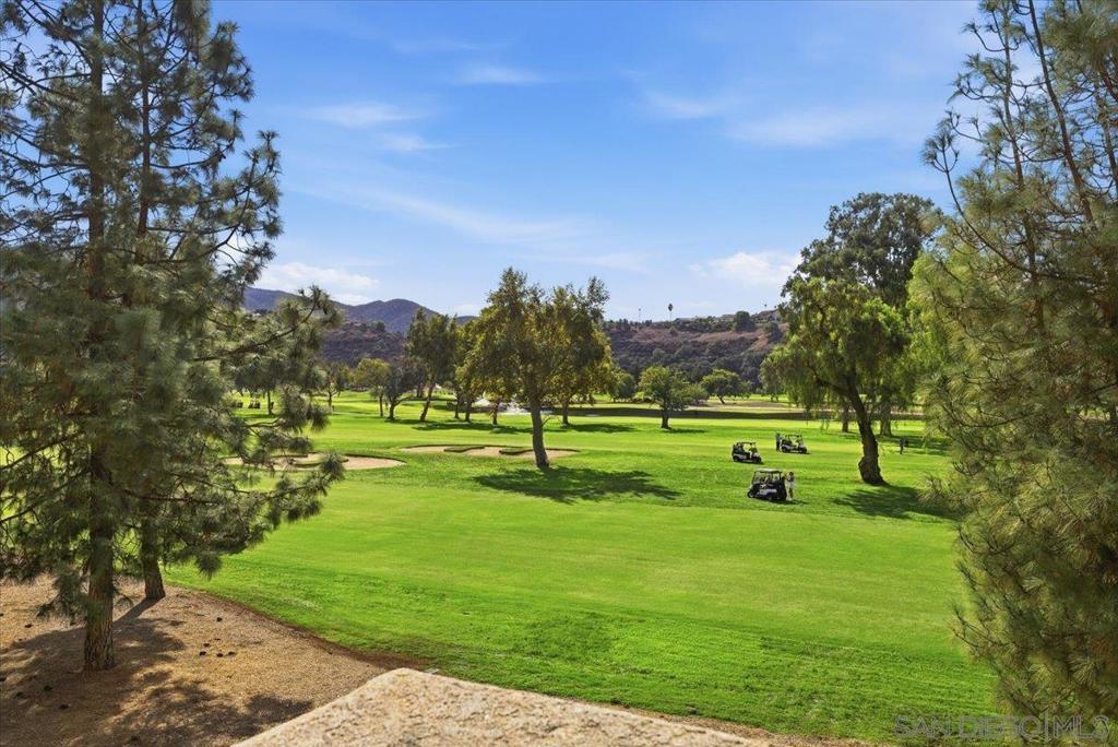 Photo of Listing #250043936SD