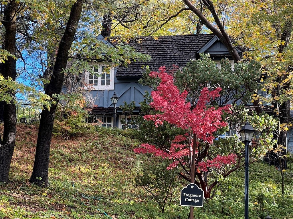 Photo of Listing #IG25261092