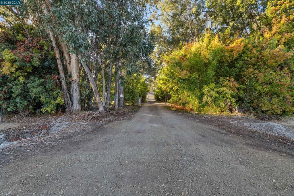 Photo of Listing #41117912