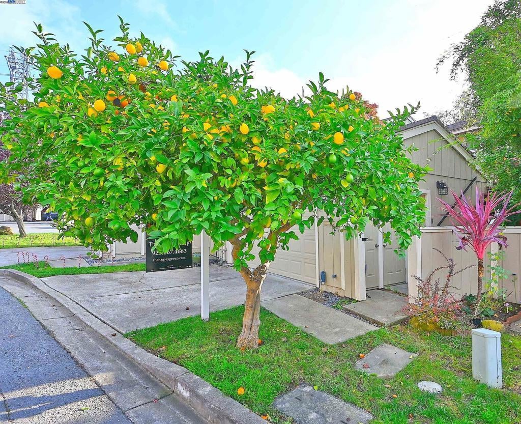 Photo of Listing #41118153