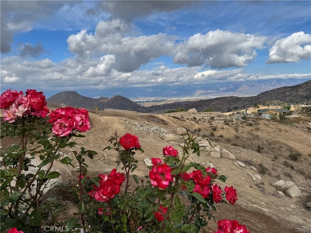 Photo of Listing #IV25268422