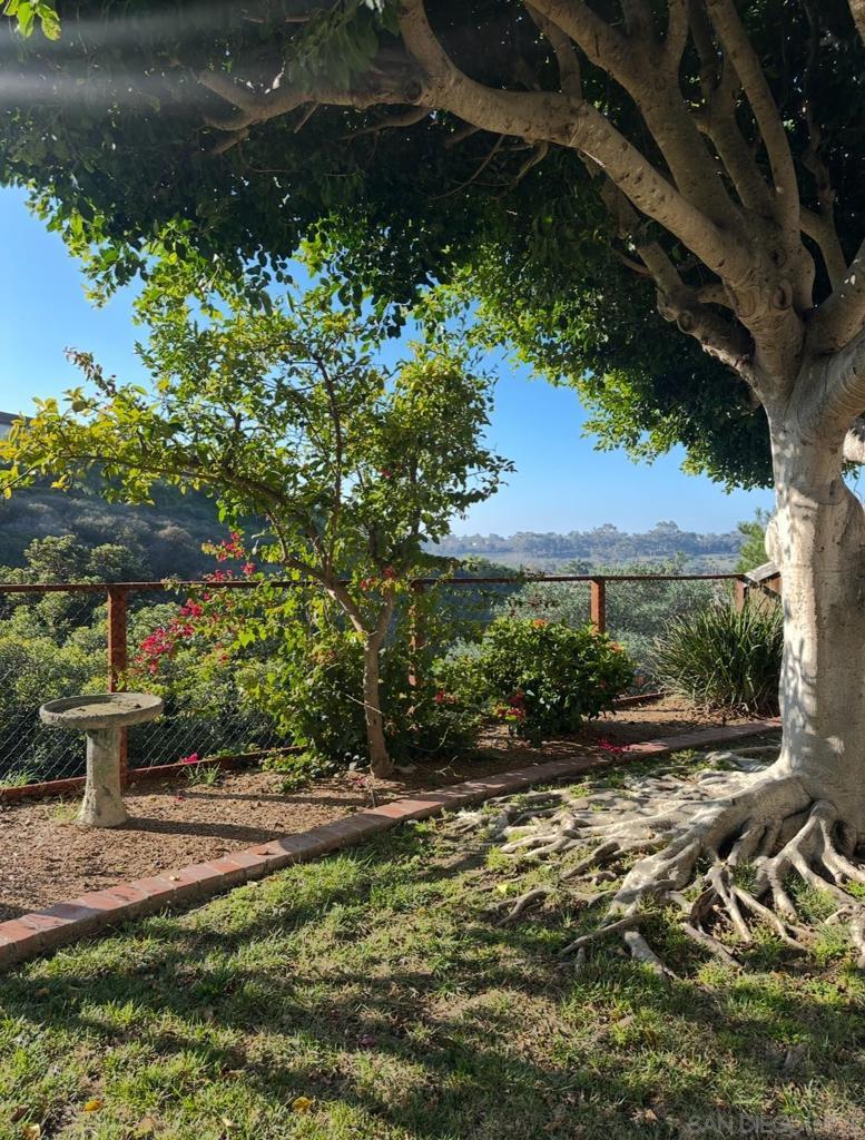 Photo of Listing #250045196SD