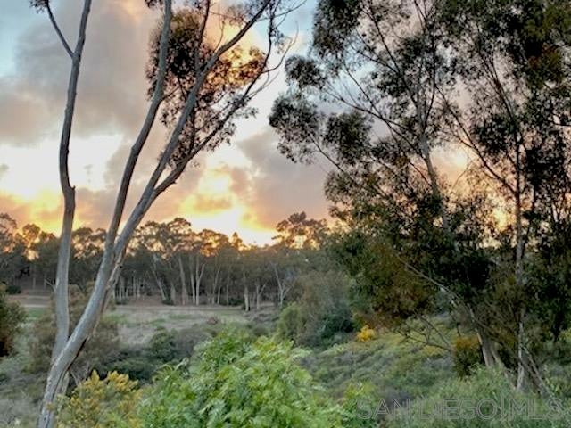 Photo of Listing #250045314SD