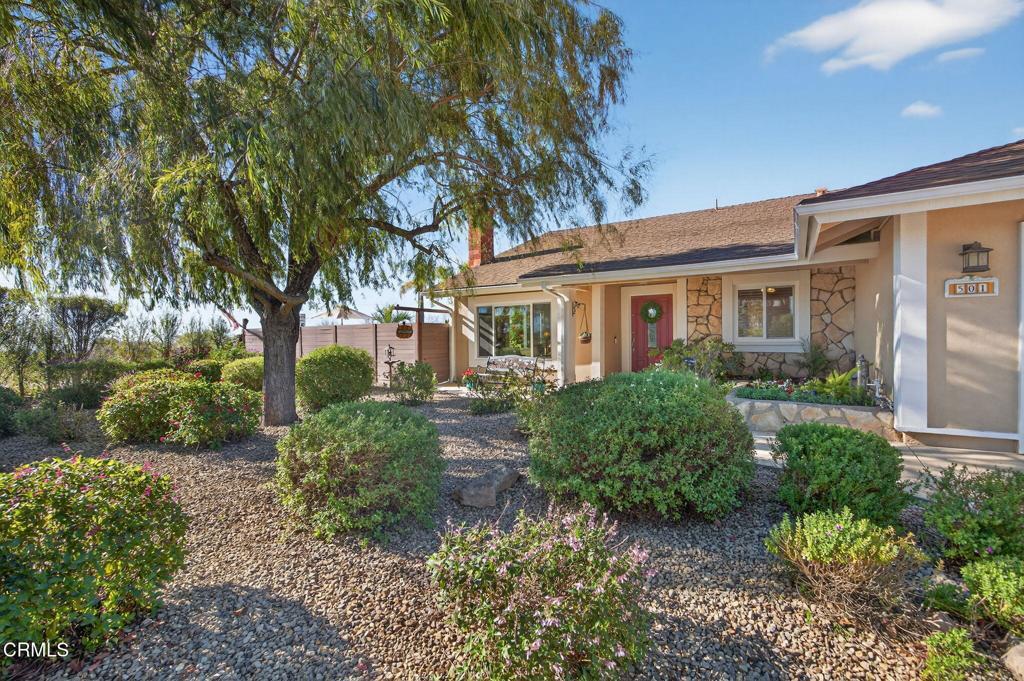 Photo of Listing #V1-33670