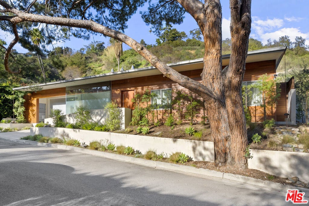 Photo of Listing #25625259