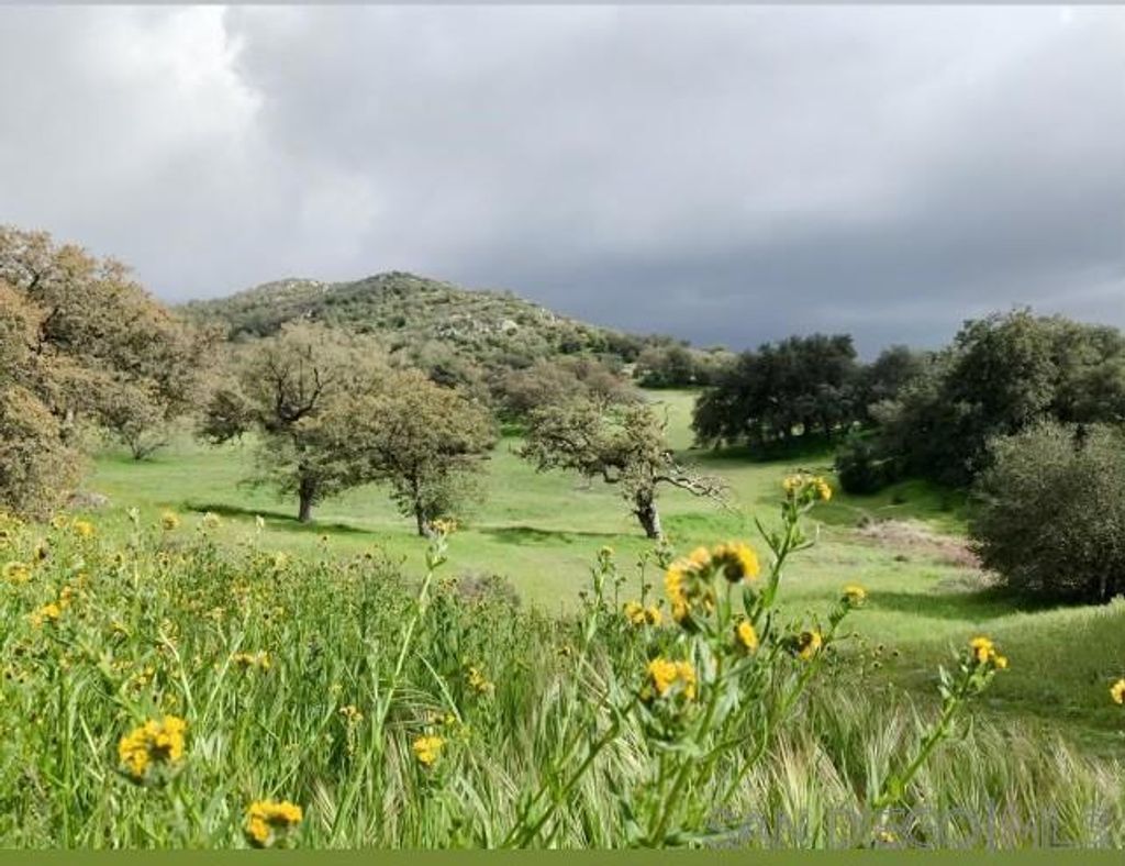 Tule Springs Road, Julian
