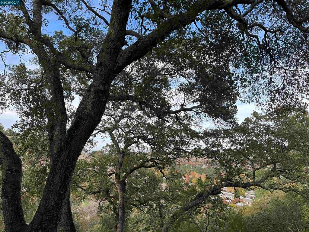 Photo of Listing #41118910