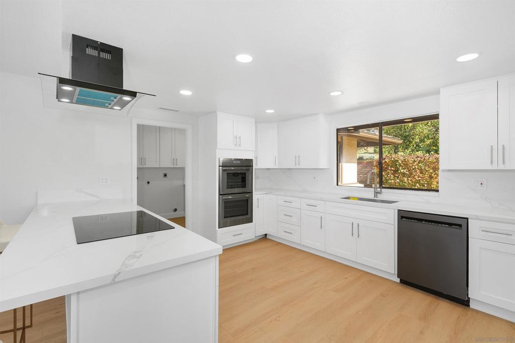 Photo of Listing #250045645SD