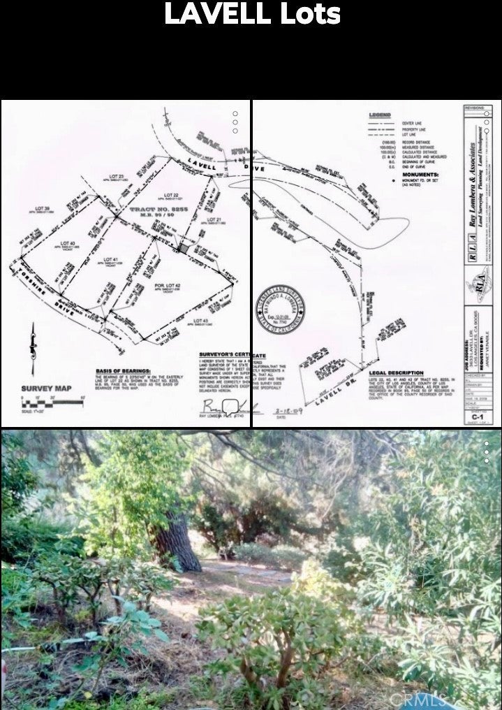 Photo of Listing #SR25271523