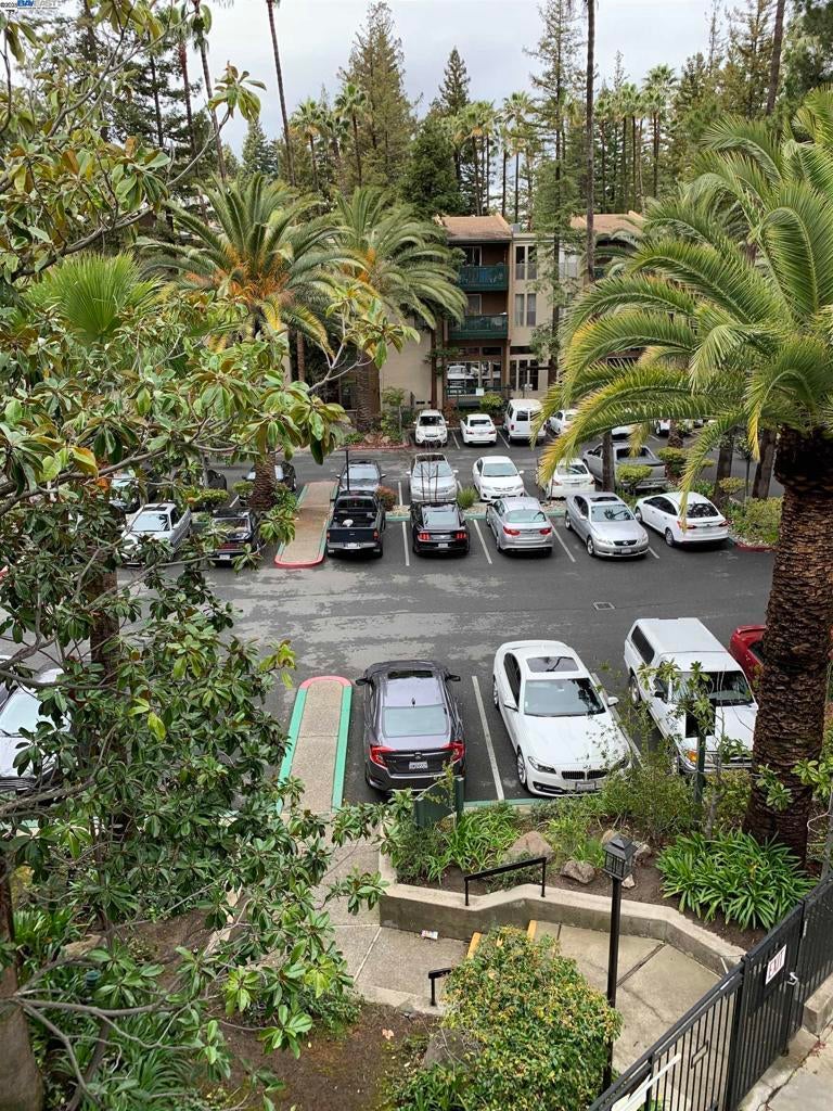 Photo of Listing #41119236