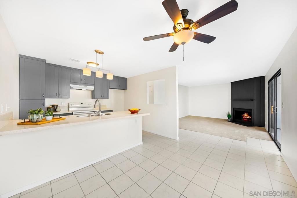 Photo of Listing #250045902SD