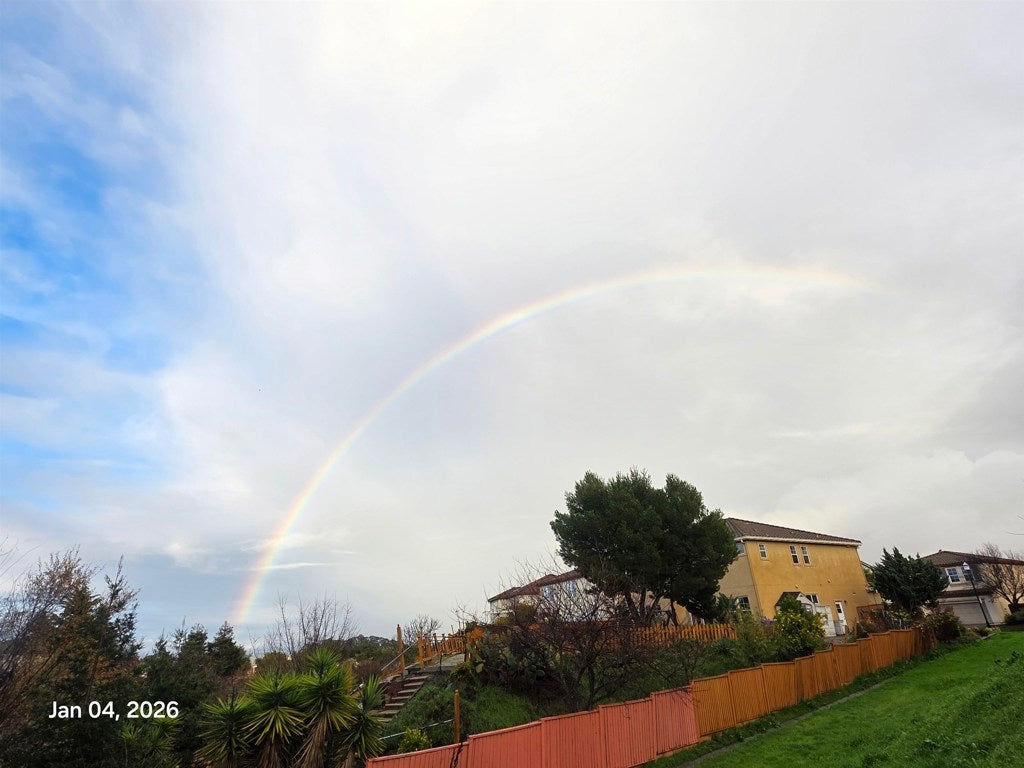 Photo of Listing #41119470