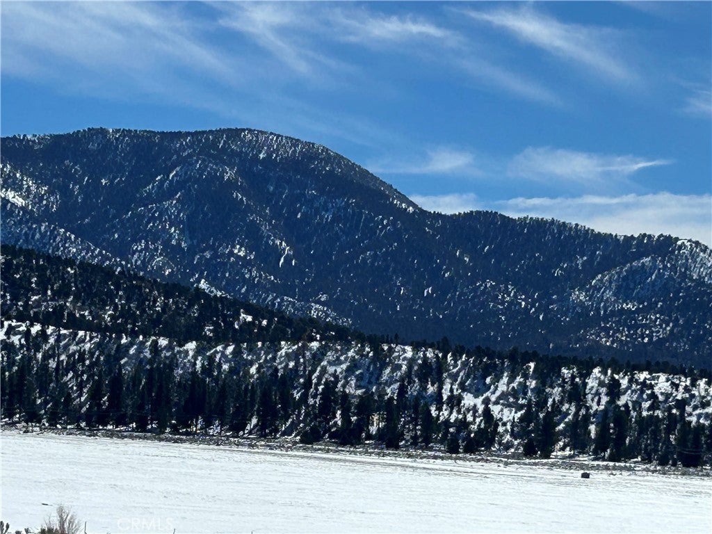 Photo of Listing #IV25278984