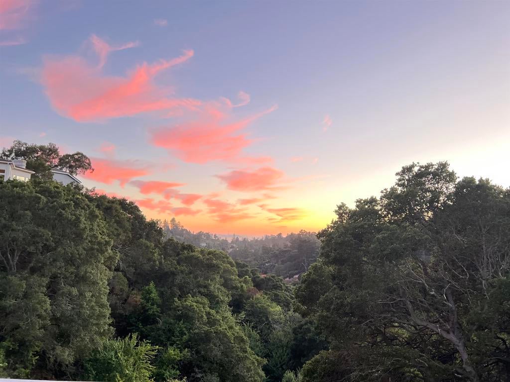 Photo of Listing #41120076