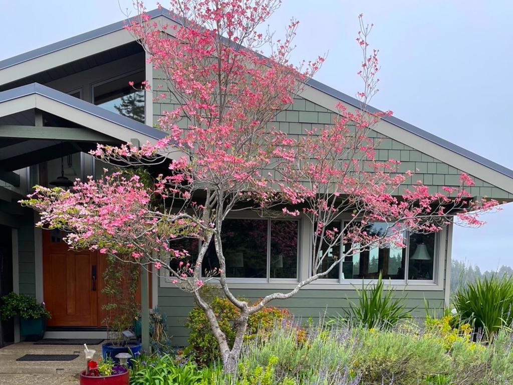 Photo of Listing #ML82030844