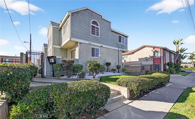 16331 Cornuta # F, Bellflower