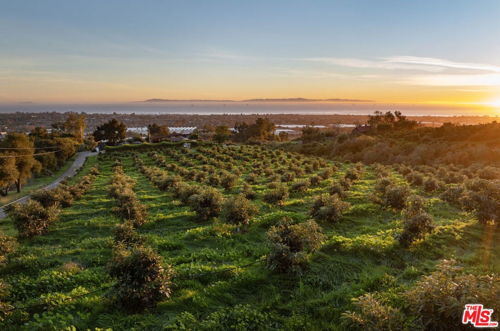 Photo of Listing #26637459