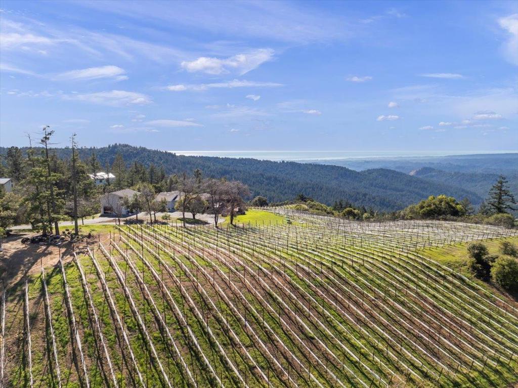 Photo of Listing #ML82030559