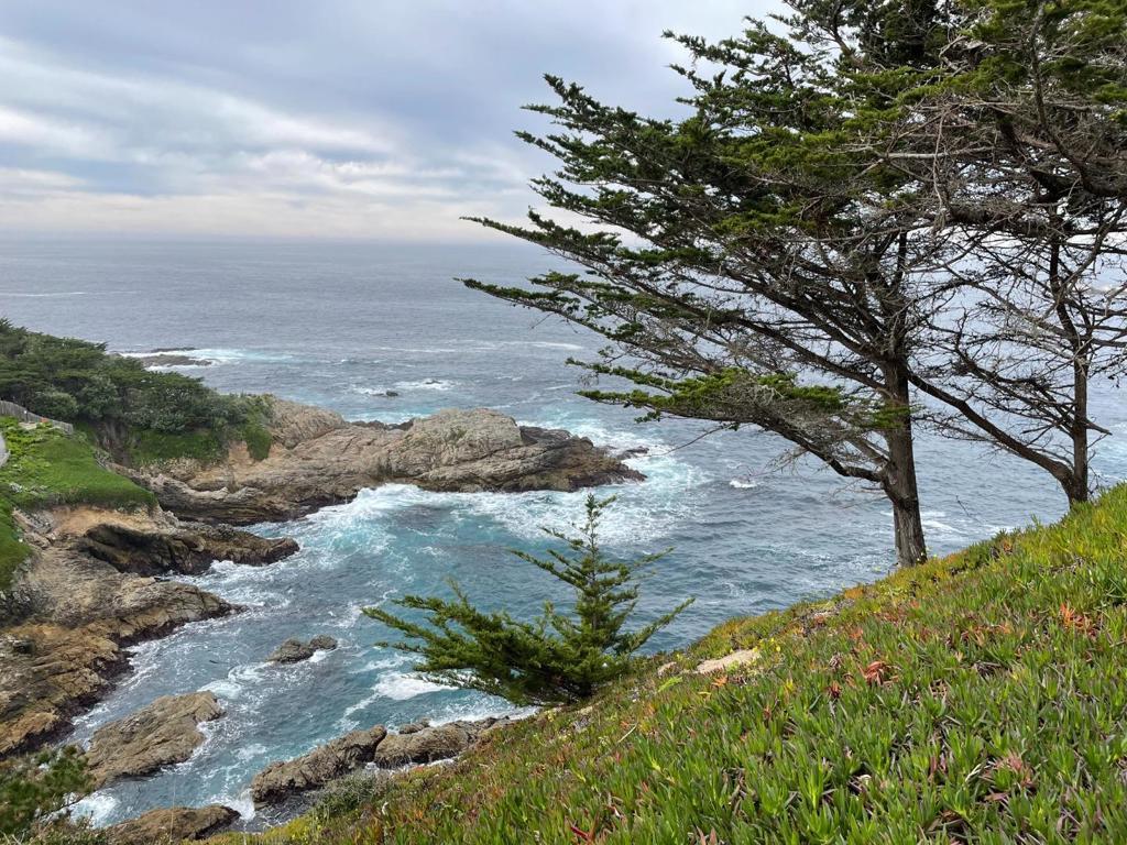 Photo of Listing #ML82031879