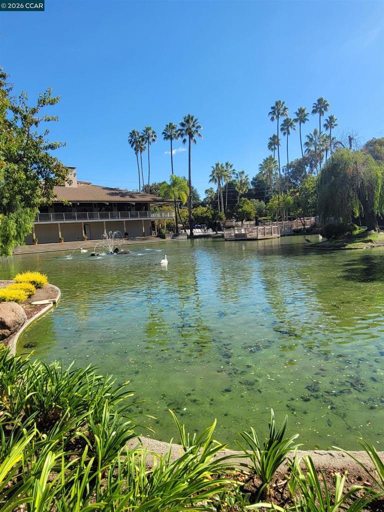 Photo of Listing #41121933